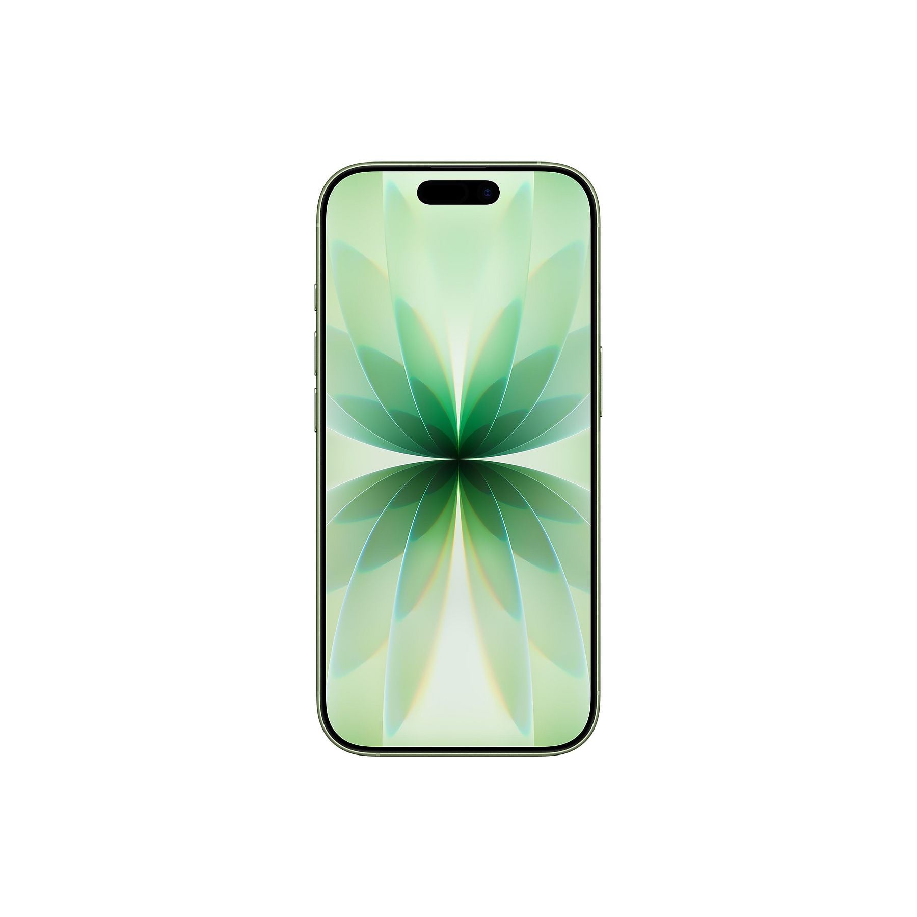 Apple iPhone 17 - Salbei, 256 GB – Bild 2