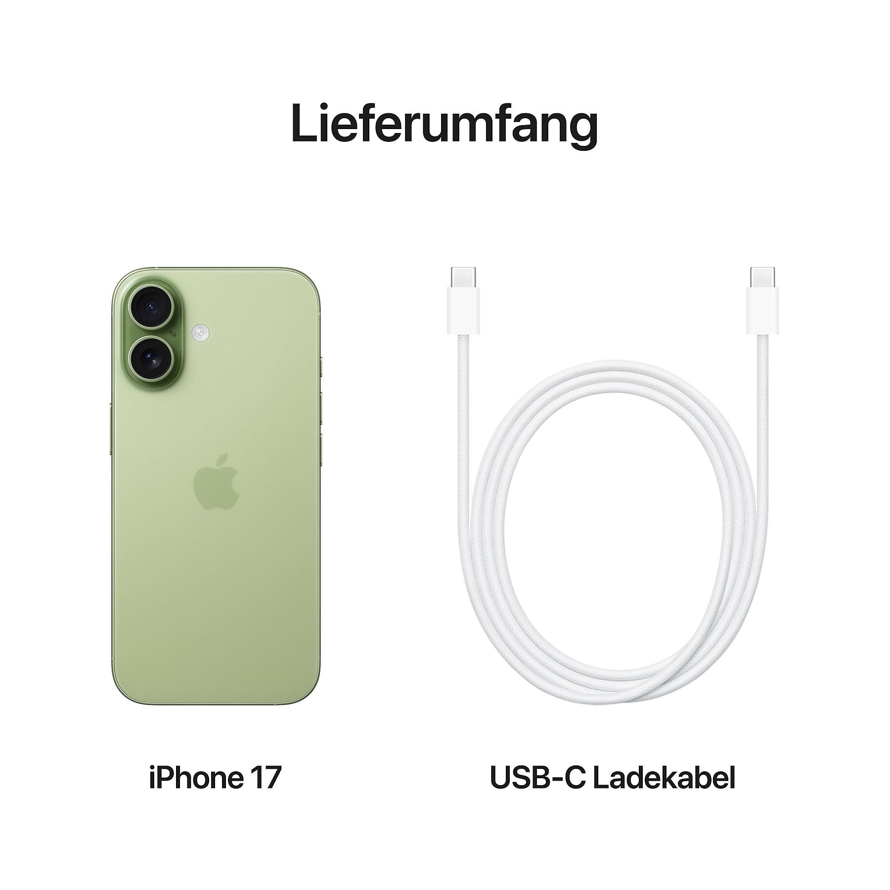 Apple iPhone 17 - Salbei, 256 GB – Bild 5